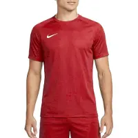 Nike Herren Trikot M NK DF PARK VIII JSY SS