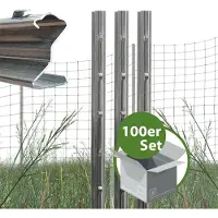 Baumarktplus Z Profil Zaunpfosten 150cm Feuerverzinkt 100x Zaunpfähle mit Haken