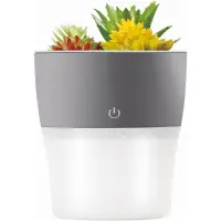 Setty Mini-Luftbefeuchter für den Schreibtisch, Diffusor, Blumentopf, künstliche Blumen