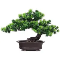 OEM Kunststof Bonsai - Grün - Dekoration - Einzelstück - Grün - Kunststoff