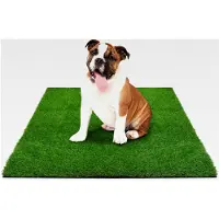 Markenlos Kunstrasen für Hunde - Höhe: 40 mm - Trainingsunterlage für Hundetoilette und Welpen - wiederverwendbarer Ersatz für Balkon, Terrasse, Garten (50 x 60 cm)