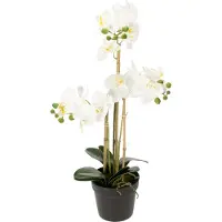 Viana Künstliche Orchidee im Topf für stilvolle Raumdekoration