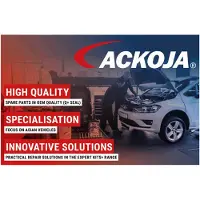 ACKOJA A38-0643 Turbo Ladeluftschlauch für RENAULT Kadjar (HA, HL) Megane IV Grandtour (K9A/M/N) Megane IV Schrägheck (B9A/M/N) Talisman Grandtour