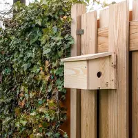 Cj Wildlife System-Nistkasten Sperling - Öffnung rechts | |