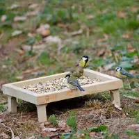Cj Wildlife Stehender Futtertisch |
