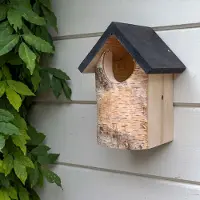 Cj Wildlife Birken-Nistkasten „Kingston“ halboffen | Vogelhaus Birkenholz |