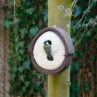 Cj Wildlife Nistkasten „Alicante“ WoodStone Braun 28 mm | Vogelhaus Holzbeton |