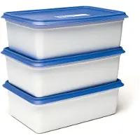 Day To Day Gefrierbox-Set 3x2000ml Alaska