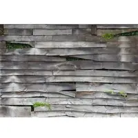 Erismann Holz Tapete Ausgefallen Vlies Fototapete mit Holzbalken und Pflanzen in Grau Grün 3D Vliestapete in Holzoptik Quer für Wohnzimmer und Küche