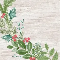 Duni GmbH Dunisoft-Servietten 40x40cm Winter Greenery