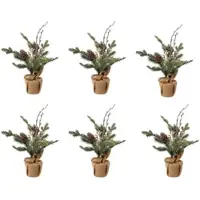 Creativ Green künstliche Pflanze Tanne im Jutesack mit Zapfen und Beeren, 36 cm, grün, 6er Set