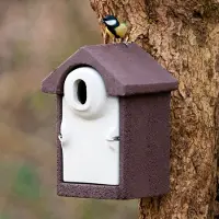 Cj Wildlife Nistkasten „Sevilla“ WoodStone Ovale Einflugöffnung Braun | Vogelhaus Holzbeton |
