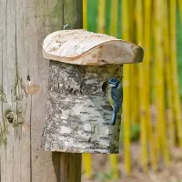 Cj Wildlife Nistkasten „Stockholm“ 28 mm | Vogelhaus Birkenholz |