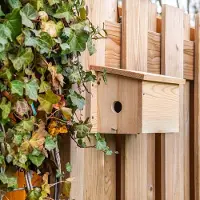Cj Wildlife System-Nistkasten Sperling - Öffnung links | |