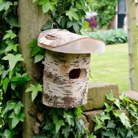 Cj Wildlife Nistkasten Zaunkönig „Uppsala“ | Vogelhaus Birkenholz |