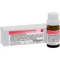 Dr. Reckeweg Echinacea Purpurea D 12 Globuli 10 g