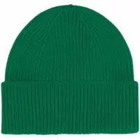 Colorful Standard Mütze Unisex Merino Wool Beanie Kelly Green