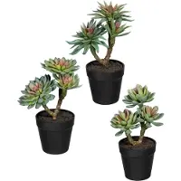 Creativ Green Kunstpflanze "Sukkulenten" im 3er Set