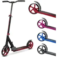 Boldcube BIG 2-Rad-Roller - Bordeaux