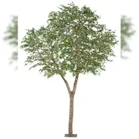 Creativ Green künstliche Pflanze Ficus Benjamina 310x200cm