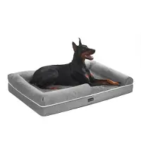 Feandrea Hundebett, abnehmbarer und waschbarer Bezug, erhöhte Rändern, rutschfest, orthopädisch, 120 x 85 x 18 cm, für Zuhause, grau