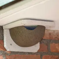 Cj Wildlife WoodStone Mehlschwalbennest Einzeln (linker Eingang) | Vogelhaus Holzbeton |