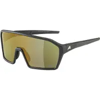 Alpina Sonnenbrille Ram Q-Lite