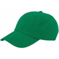 Colorful Standard Kappe Unisex Organic Cotton Cap Kelly Green