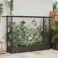 Prolenta Maison Exclusive - Hochbeet mit Rankgitter und Dach Braun 203 x 40 x 121 cm PP
