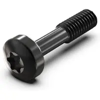 NVent SCREW TORX COL.M2.5X12.3 100X - Rack-Zubehör (21101783)