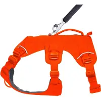 Ruffwear Web Master Harness - M - Blaze Orange