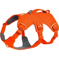 Ruffwear Hundegeschirr Web Master Harness Blaze Orange, Größe: S