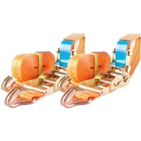 Baumarktplus 2x Profi Ratschen Spanngurt 2 Teilig 5m 2t 2000kg TÜV/GS Orange