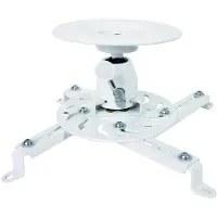 Roline Ceiling Projector Mount, small