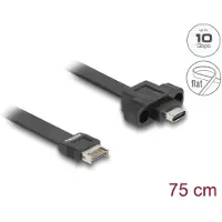 DeLOCK USB 10 Gbps Flachbandkabel Typ-E Key A 20 Pin Stecker zu USB Type-C Buchse zum Einbau 75 cm