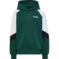 Hummel Hoodie Kinder