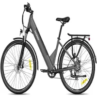 Fafrees Elektrofahrrad F28 Pro - 250W Motor 36V15AH Batterie 55KM Reichweite - Schwarz