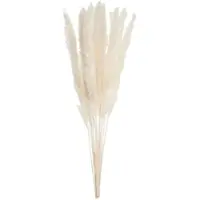 Butlers Trockenblumen FLOWER MARKET Pampasgras in Beige | Gr.: onesize