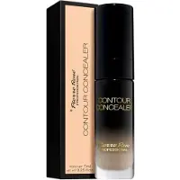 Pierre René Contour Concealer No 02