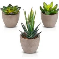 Unyqoos Kunstpflanzen-Set (3) mit Töpfen – lebensechte grüne Deko für Tisch & Wohnzimmer, ungiftig, pflegeleicht (Aloe, Seerose, Parellotus)