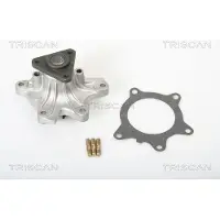 TRISCAN Wasserpumpe 8600 13014