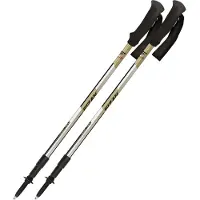Fizan - Trekkingstöcke aus Aluminium - Trek Pro Beige/Black