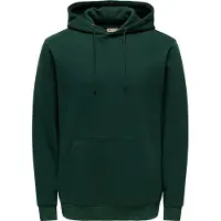 Only & Sons Kapuzenpullover in Pine Grove | Gr.: M
