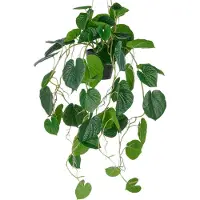 Creativ Green Kunstpflanze "Hängende Peperomia caperata" mit üppigen Ranken