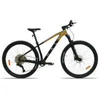 RALI C-pro 2.0 Carbon 29´´ V5012-lx Mountainbike