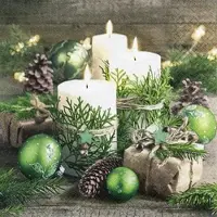 Home Fashion , Snuggery, Cocktail-Servietten aufgefaltetes Maß 25 cm x 25 cm, im Viertelfalz, 20 Stück pro Pack, 12 Pack pro Karton