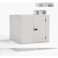A&S polarny Kühlzelle mit Deckenaggregat & Regal Kühlhaus 3,3m¬≥ 1500x1500x2010mm -2/+5¬∞C m. Aufbau