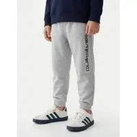 Quiksilver Jogginghose Graphics EQKFB03123 Grau Regular Fit