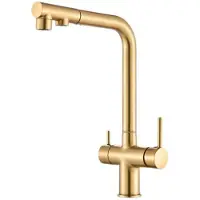 ARI 3-Wege Küchenarmatur Venom mit Wasserfilter-Anschluss, herausziehbare Brause, 360° schwenkbar, getrennte Wasserwege, Keramikkartusche Gold