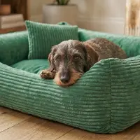 4L Textil MOLLY Kuscheliges Cord Hundebett mittelgroße Hunde Hundekorb Cord Hundekissen flauschig Hundekörbchen Cord (100x80 cm, Grün)